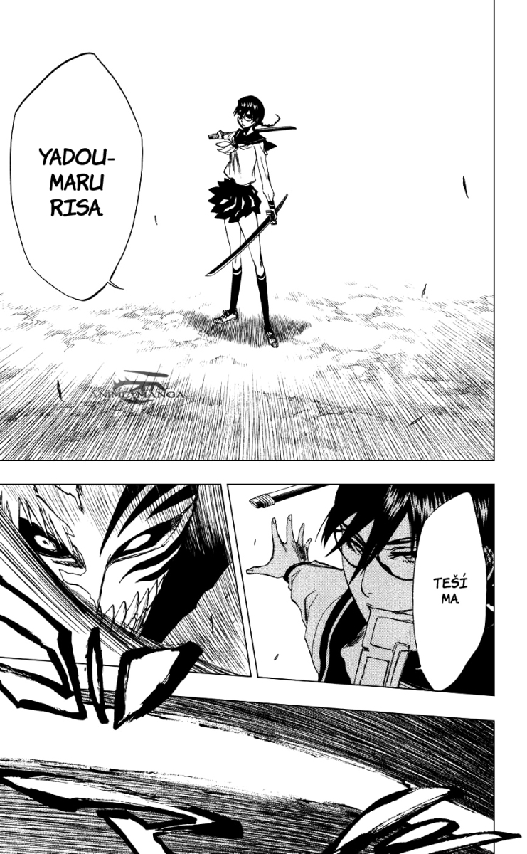 Bleach 218 15 kopie.jpg